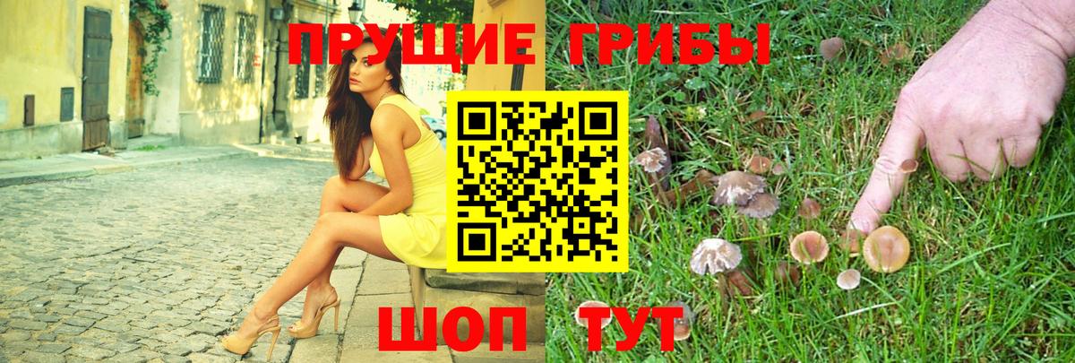Псилоцибиновые грибы ЛСД Дивногорск